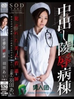 芸能人 羽田あい 中出し陵辱病棟