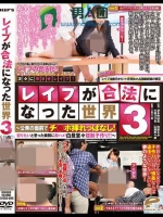 レイプが合法になった世界 3 ～公衆の面前でチ○ポ挿れっぱなし！犯りたいと思った瞬間に即ハメ！白昼堂々強制子作り！！～